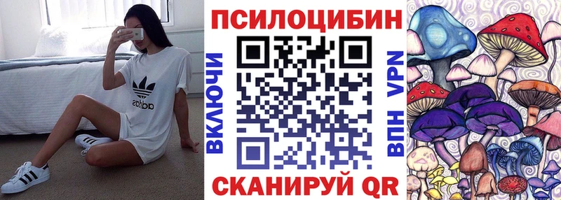 Псилоцибиновые грибы Cubensis Моршанск